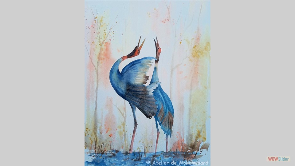 Kraanvogels 50x70